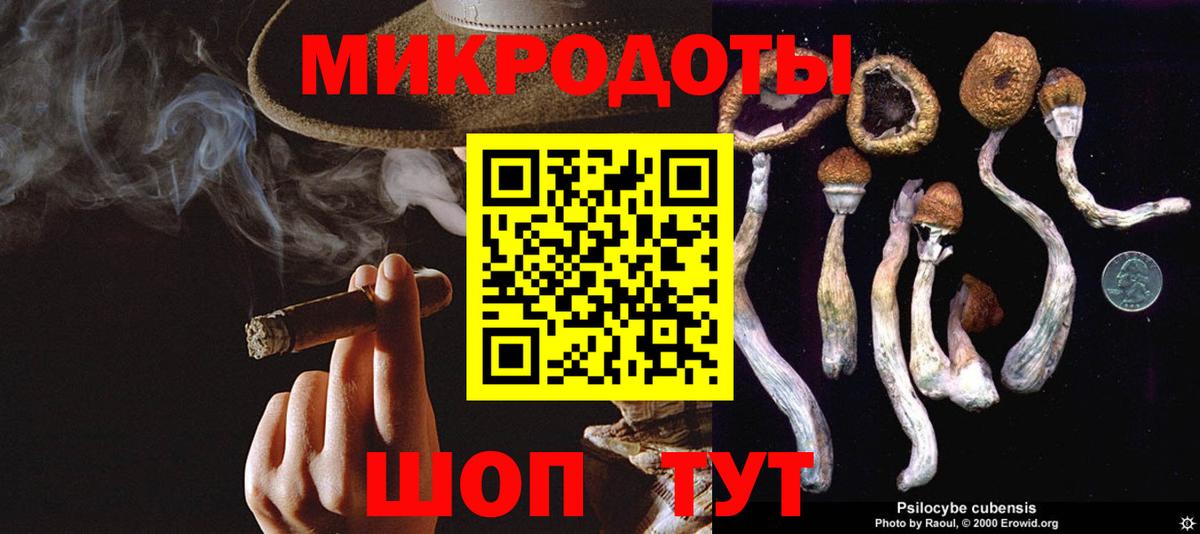 Галлюциногенные грибы GOLDEN TEACHER Братск