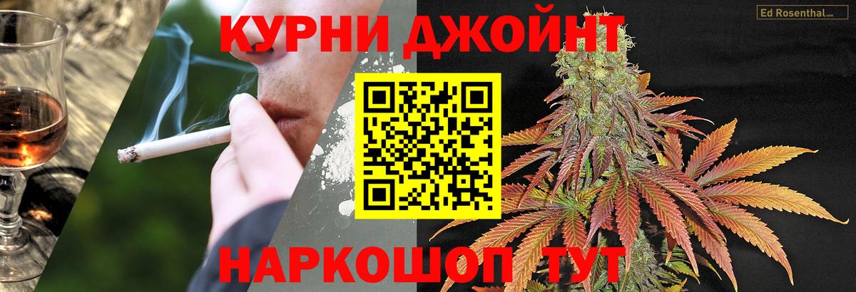 Канабис сатива Братск